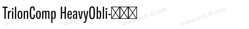 TrilonComp HeavyObli字体转换 TrilonComp HeavyObli字体转换